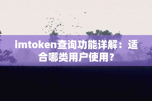 imtoken查询功能详解：适合哪类用户使用？