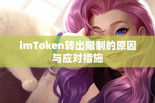 imToken转出限制的原因与应对措施