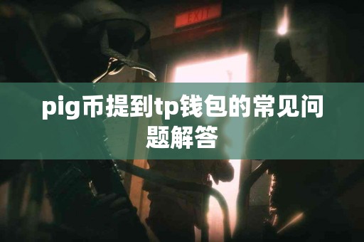 pig币提到tp钱包的常见问题解答