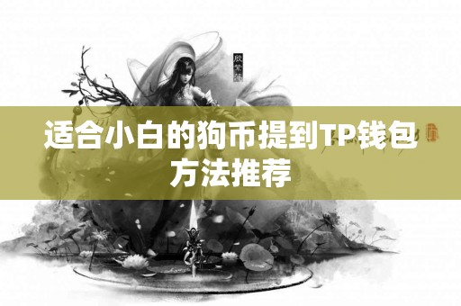适合小白的狗币提到TP钱包方法推荐