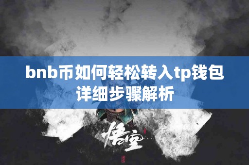 bnb币如何轻松转入tp钱包详细步骤解析