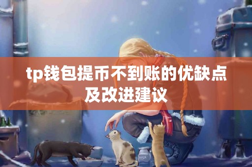 tp钱包提币不到账的优缺点及改进建议