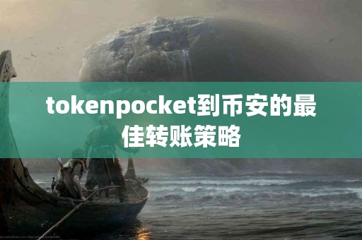 tokenpocket到币安的最佳转账策略 tokenpocket到币安的最佳转账策略