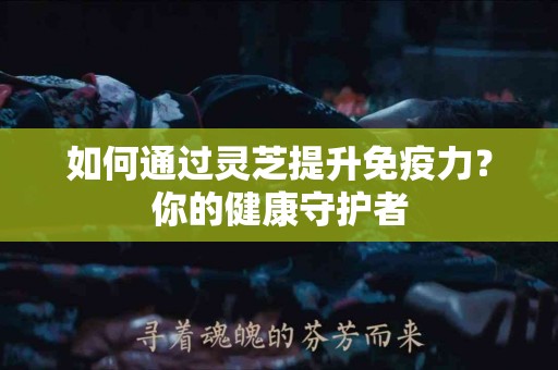 如何通过灵芝提升免疫力？你的健康守护者