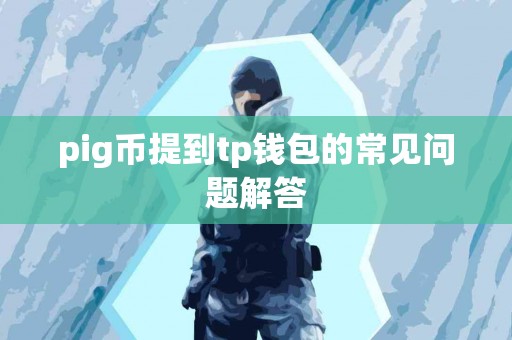 pig币提到tp钱包的常见问题解答