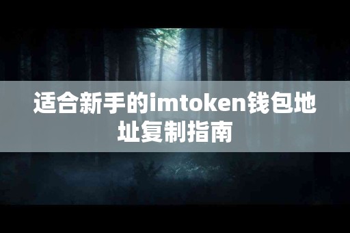 适合新手的imtoken钱包地址复制指南