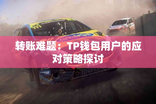 转账难题：TP钱包用户的应对策略探讨
