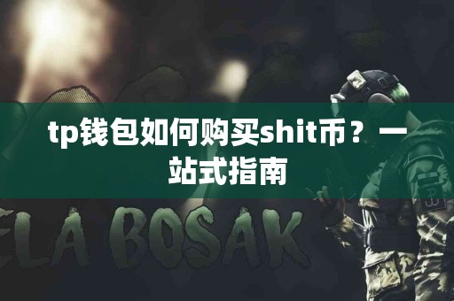 tp钱包如何购买shit币？一站式指南