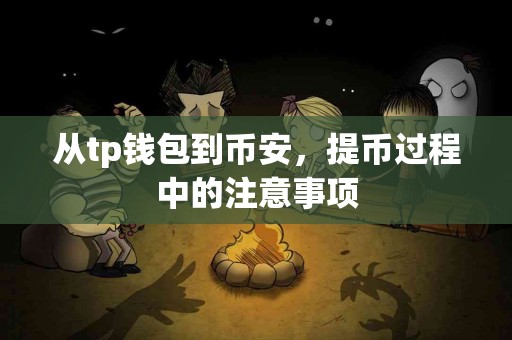 从tp钱包到币安，提币过程中的注意事项