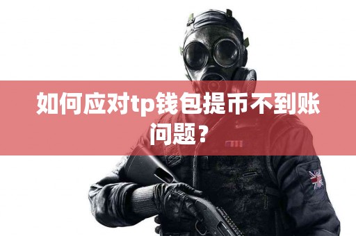如何应对tp钱包提币不到账问题？