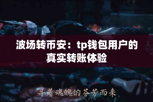 波场转币安：tp钱包用户的真实转账体验